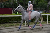 Immagine <b>REG_9155</b>